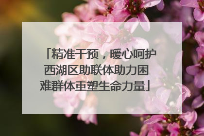 精准干预，暖心呵护 西湖区助联体助力困难群体重塑生命力量