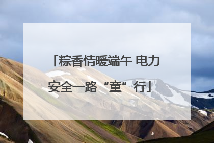 粽香情暖端午 电力安全一路“童”行