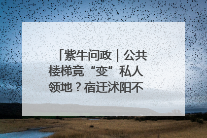 紫牛问政｜公共楼梯竟“变”私人领地？宿迁沭阳不动产登记引质疑