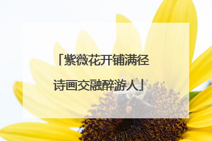 紫薇花开铺满径 诗画交融醉游人