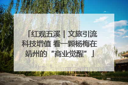 红观五溪｜文旅引流 科技增值 看一颗杨梅在靖州的“商业觉醒”