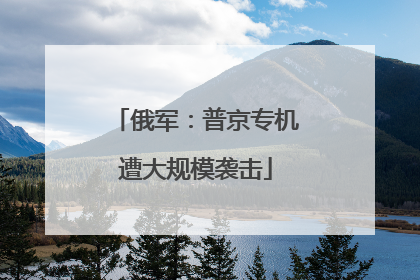 俄军：普京专机遭大规模袭击