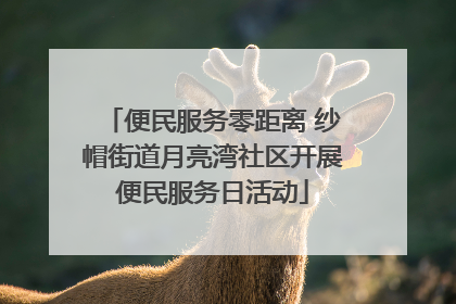 便民服务零距离 纱帽街道月亮湾社区开展便民服务日活动