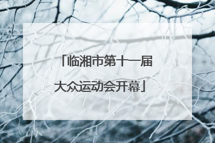 临湘市第十一届大众运动会开幕