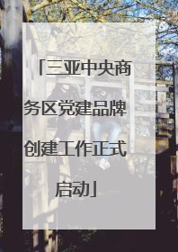 三亚中央商务区党建品牌创建工作正式启动
