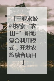 三亚水蛟村探索“农田+”耕地复合利用模式，开发农旅融合项目