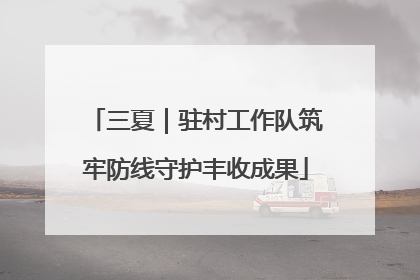 三夏｜驻村工作队筑牢防线守护丰收成果