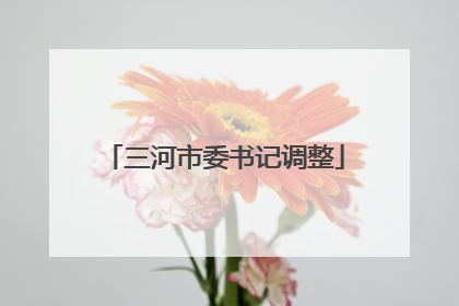 三河市委书记调整