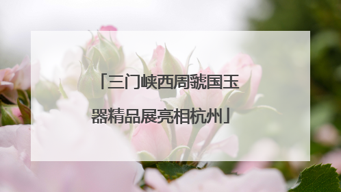 三门峡西周虢国玉器精品展亮相杭州