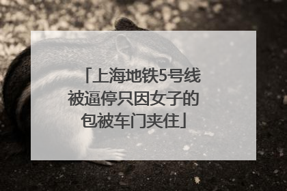上海地铁5号线被逼停只因女子的包被车门夹住