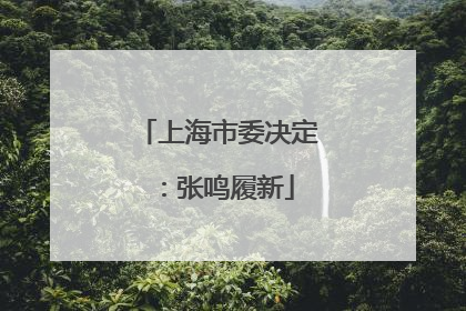 上海市委决定：张鸣履新
