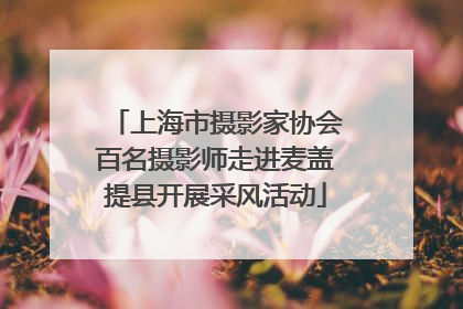 上海市摄影家协会百名摄影师走进麦盖提县开展采风活动