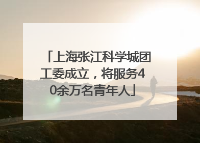 上海张江科学城团工委成立，将服务40余万名青年人