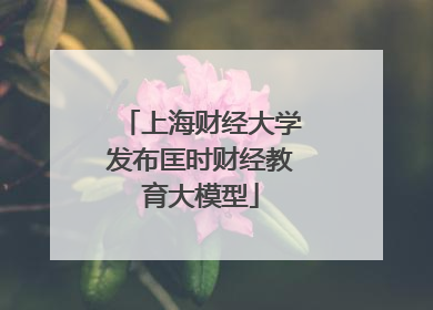 上海财经大学发布匡时财经教育大模型