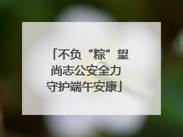 不负“粽”望 尚志公安全力守护端午安康