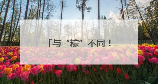 与“粽”不同！这所中学献上花式减压大礼包
