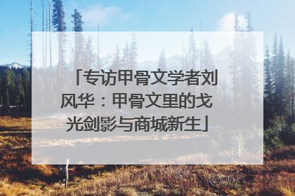 专访甲骨文学者刘风华：甲骨文里的戈光剑影与商城新生