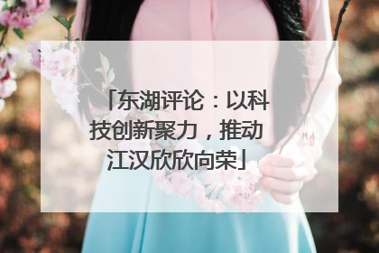 东湖评论：以科技创新聚力，推动江汉欣欣向荣
