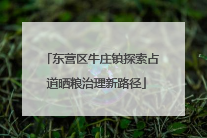 东营区牛庄镇探索占道晒粮治理新路径