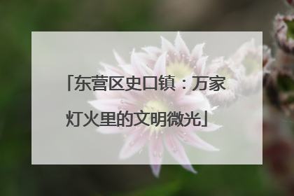 东营区史口镇：万家灯火里的文明微光