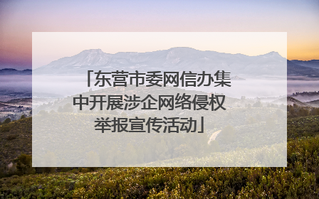 东营市委网信办集中开展涉企网络侵权举报宣传活动