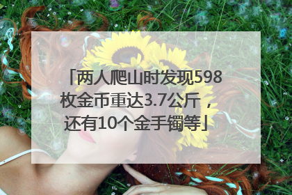 两人爬山时发现598枚金币重达3.7公斤，还有10个金手镯等