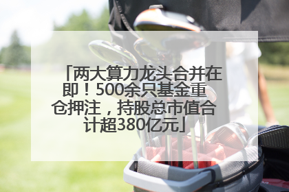 两大算力龙头合并在即！500余只基金重仓押注，持股总市值合计超380亿元