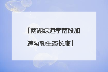 两湖绿道孝南段加速勾勒生态长廊