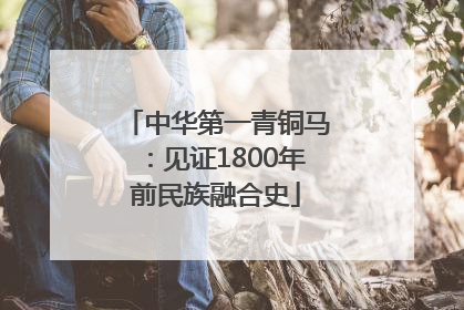 中华第一青铜马：见证1800年前民族融合史