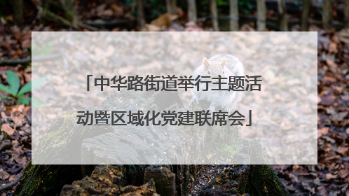 中华路街道举行主题活动暨区域化党建联席会