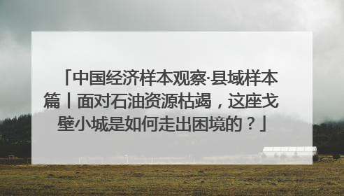 中国经济样本观察·县域样本篇丨面对石油资源枯竭，这座戈壁小城是如何走出困境的？