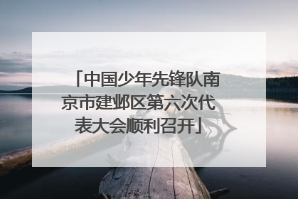 中国少年先锋队南京市建邺区第六次代表大会顺利召开