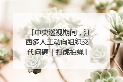 中央巡视期间，江西多人主动向组织交代问题｜打虎拍蝇