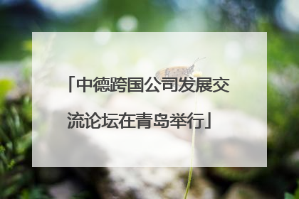 中德跨国公司发展交流论坛在青岛举行