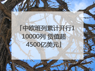 中欧班列累计开行110000列 货值超4500亿美元
