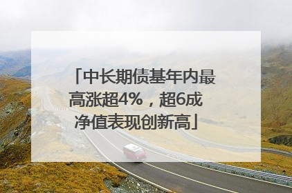 中长期债基年内最高涨超4%，超6成净值表现创新高