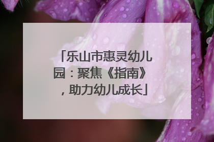 乐山市惠灵幼儿园：聚焦《指南》，助力幼儿成长