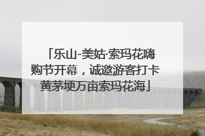 乐山-美姑·索玛花嗨购节开幕，诚邀游客打卡黄茅埂万亩索玛花海