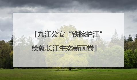 九江公安“铁腕护江”绘就长江生态新画卷