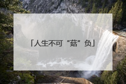 人生不可“菇”负