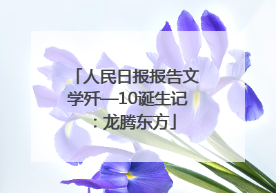 人民日报报告文学歼—10诞生记：龙腾东方