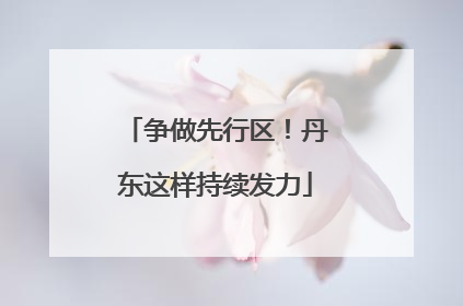 争做先行区！丹东这样持续发力