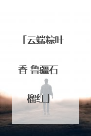 云端粽叶香 鲁疆石榴红