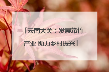 云南大关：发展筇竹产业 助力乡村振兴