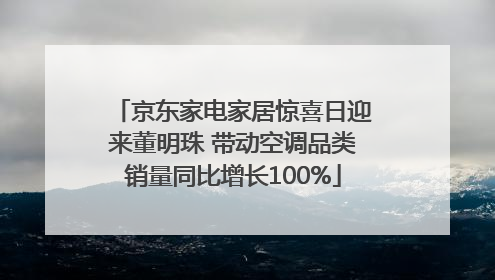 京东家电家居惊喜日迎来董明珠 带动空调品类销量同比增长100%