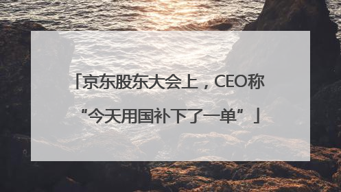 京东股东大会上，CEO称“今天用国补下了一单”