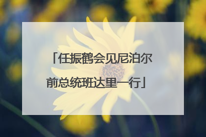 任振鹤会见尼泊尔前总统班达里一行