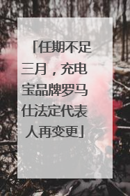 任期不足三月，充电宝品牌罗马仕法定代表人再变更