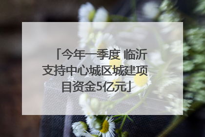 今年一季度 临沂支持中心城区城建项目资金5亿元