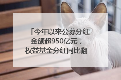 今年以来公募分红金额超950亿元，权益基金分红同比翻倍｜招财猫